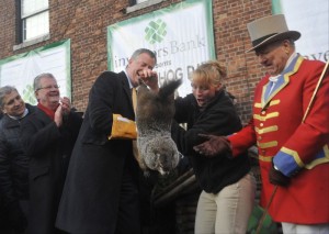 Mayor de Blasio loses his grip on Staten Island Chuck on Groundhog Day 2014. (Marc A. Hermann/for New York Daily News)